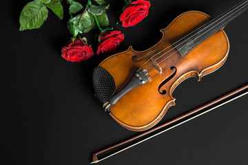 Fototapeta na wymiar Violin and rose on black background.