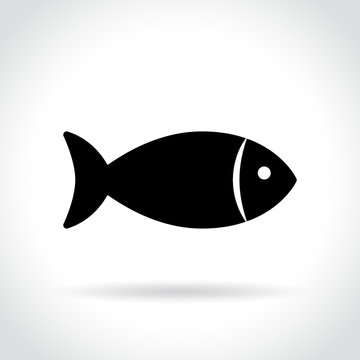 fish icon on white background