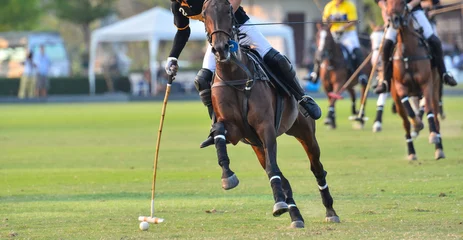 Foto op Aluminium A polo horse sport player hit a polo ball with a mallet in match. © Hola53