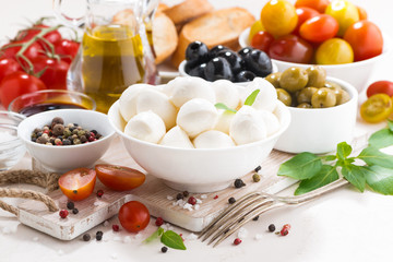ingredients for salad with mozzarella, horizontal