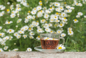 Herbal tea with chamomile on a wooden table on a summer sunny morning