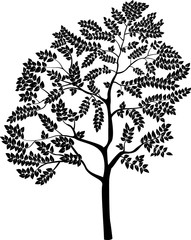 isolated stylized monochrome tree, vector illustration