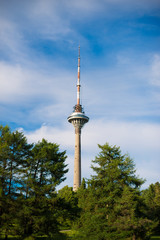 Obraz premium Tallinn TV Tower over blue sky.