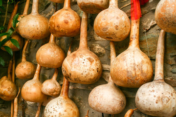Dried bottle gourd  used for decoration