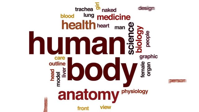 Human body animated word cloud, text design animation.