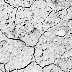 in the desert the dry ground