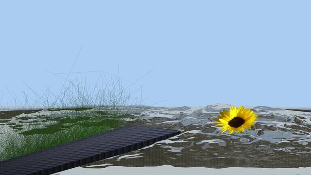 Meer mit einem Holzsteg über das eine Sonnenblume treibt
