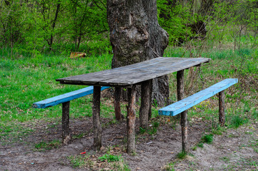 Wooden table and benches outdoor
