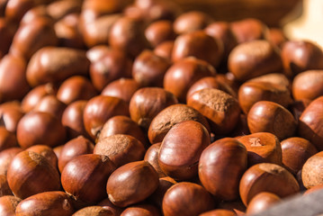 group of chestnuts,detail shot.