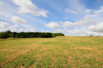 Obraz premium Field landscape