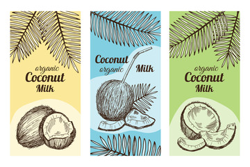 Labels for package design with hand drawn illustrations of coconut. Vector template with place for your text
