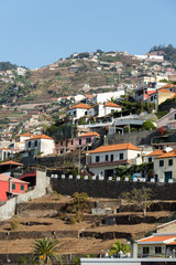 Camara de Lobos - traditional fishing village, situated five kilometres from Funchal on Madeira. Portugal