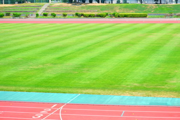 Obraz premium 競技場のグランド