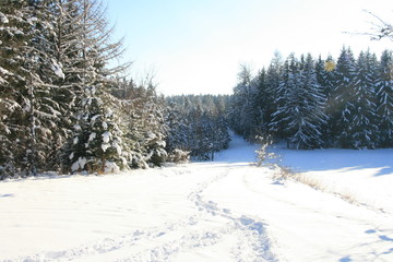 Schnee und Natur