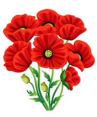 Red Poppy Flower isolated on white background. Vector red romantic poppy flowers and grass. red poppies. red flower. flourish flowery bunches design for decor Web site page and mobile app design.