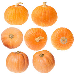 seven small yellow pumpkins on white
