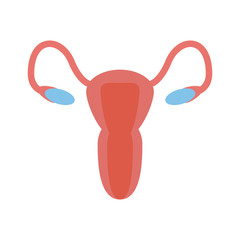 women healthcare icon image