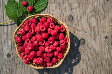 Ripe red berry raspberries in a wicker plate on a wooden table vintage, top view