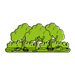forest landscape icon image