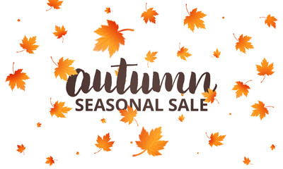 Autumn sale. Autumn lettering and falling maple leaves. Template for banner, advertisement, sale etc.