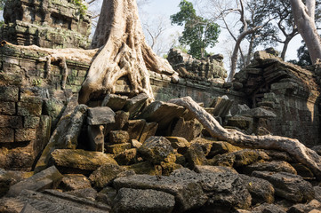 Ta Prohm temple