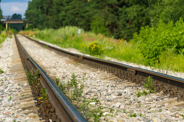 Obraz premium railway in the forest