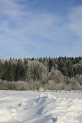 Fototapeta premium Winterandschft