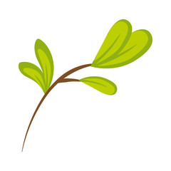 leaves icon image