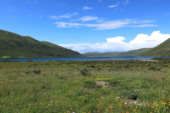 beautiful landscape with lake under blue sky