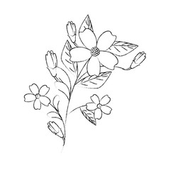 Beautiful flowers gardening