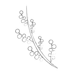 Beautiful flowers gardening