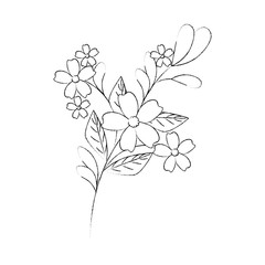 Beautiful flowers gardening