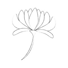 Beautiful flower with petals