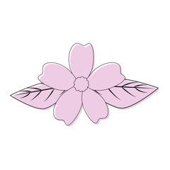 Beautiful flower with petals