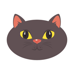 cartoon cat icon