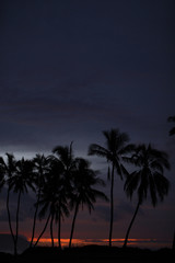 Tropical Dawn - 166435535