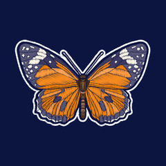 Butterfly. Embroidery. fachion patch badges Vector illustration