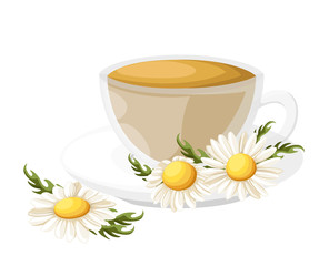 Bouquet realistic daisy, camomile flowers on white background. Vector illustration card camomile tea medical Web site page and mobile app design vector illustration