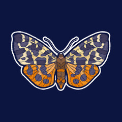 Butterfly. Embroidery. fachion patch badges Vector illustration