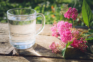 A glass of water and pink flowers on an old wooden background. The concept of a healthy lifestyle.