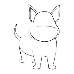 dog animal icon