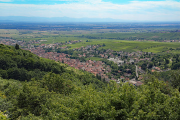 Fototapeta na wymiar Blick auf Ribeauvillé