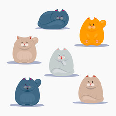 Collection of cute cats