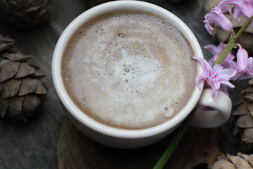 Coffee with pine nuts cedar vegan cruelty free milk on the background of siberian cedar pine cones decorated with a tender pink flower hyacinth