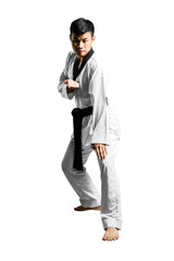Portrait of an asian professional taekwondo black belt degree (Dan) preparing for fight. Isolated full length on white background with copy space and clipping path
