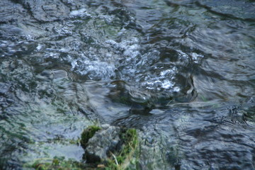Natur im Winter