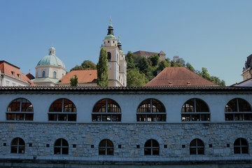 Markthallte mit Dom St. Nikolaus in Ljubljana, Slowenien