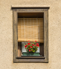 Fototapeta na wymiar Fancy Window