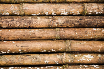 Old bamboo texture background