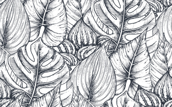 Vector seamless pattern with compositions of hand drawn tropical plants